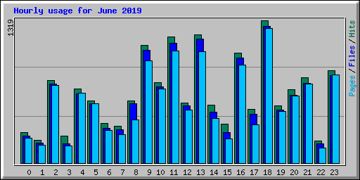 Hourly usage for June 2019
